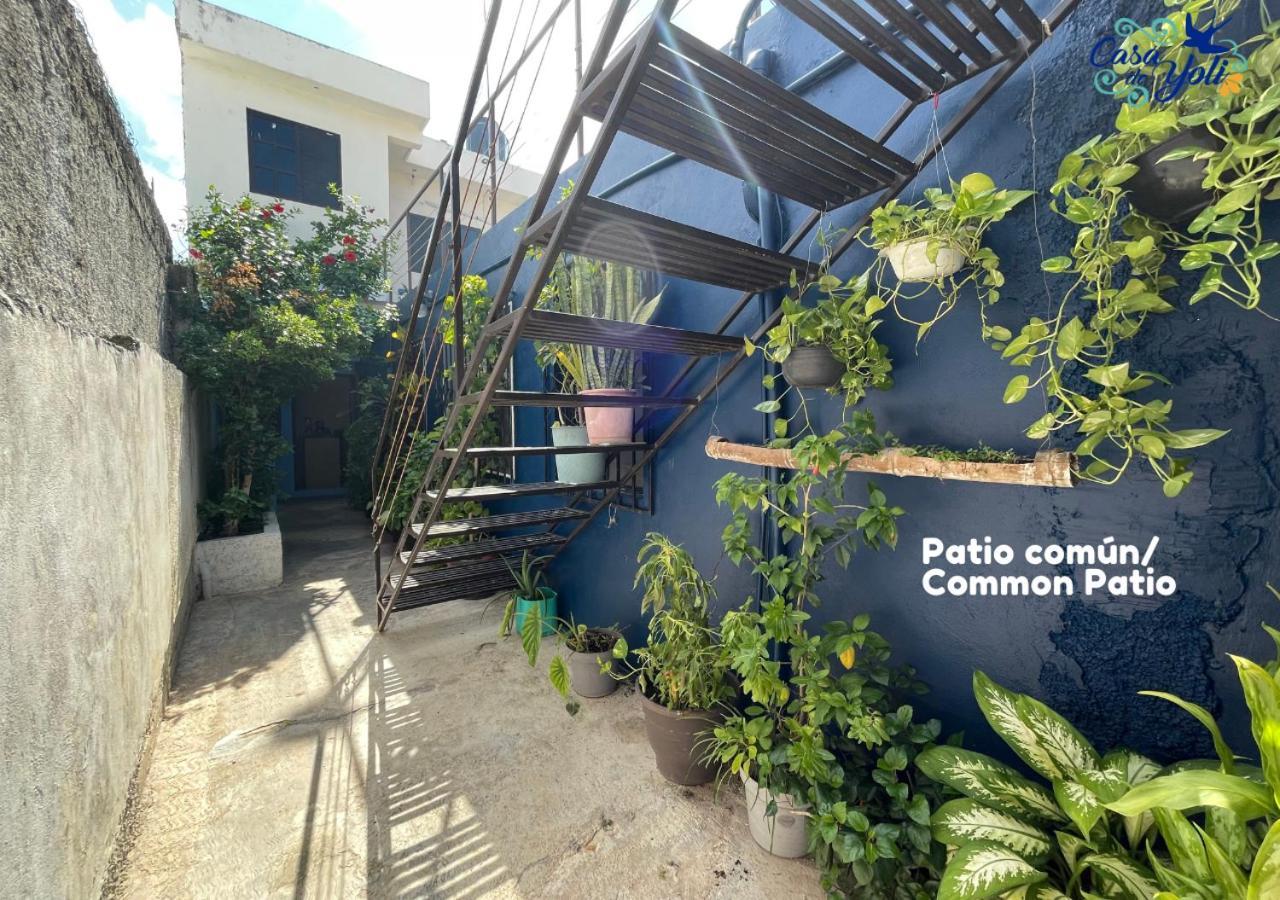 Apartmán Casa De Yoli Cozumel Exteriér fotografie